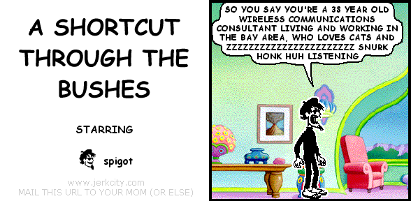 spigot: SO YOU SAY YOU'RE A 38 YEAR OLD WIRELESS COMMUNICATIONS CONSULTANT LIVING AND WORKING IN THE BAY AREA, WHO LOVES CATS AND ZZZZZZZZZZZZZZZZZZZZZZZ SNURK HONK HUH LISTENING